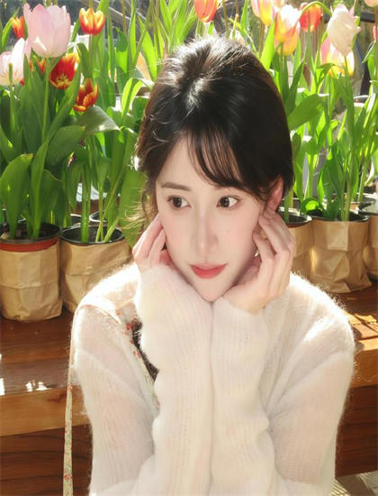 探秘《月球上的外星人：真相披露》的情感表达与人性探索